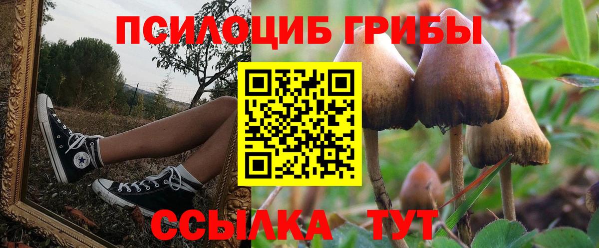 Галлюциногенные грибы MAGIC MUSHROOMS  Вход с VPN  Красноярск 
